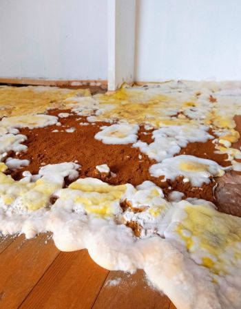 Diagnostic mérule par Real Expertises dans la Loire (42)