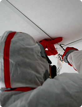 Diagnostic amiante par Real Expertises