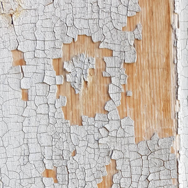 Diagnostic plomb par Real Expertises