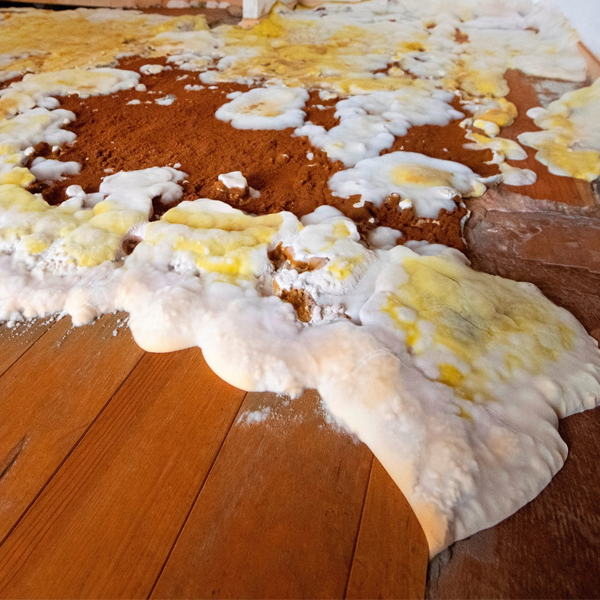 Maison infestée par une mérule